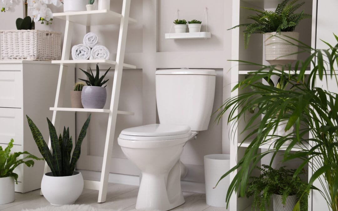 toilet repair Harrisburg PA