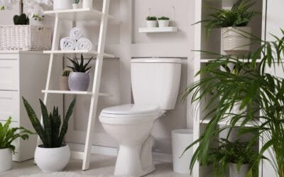 Toilet Repair in Harrisburg, PA