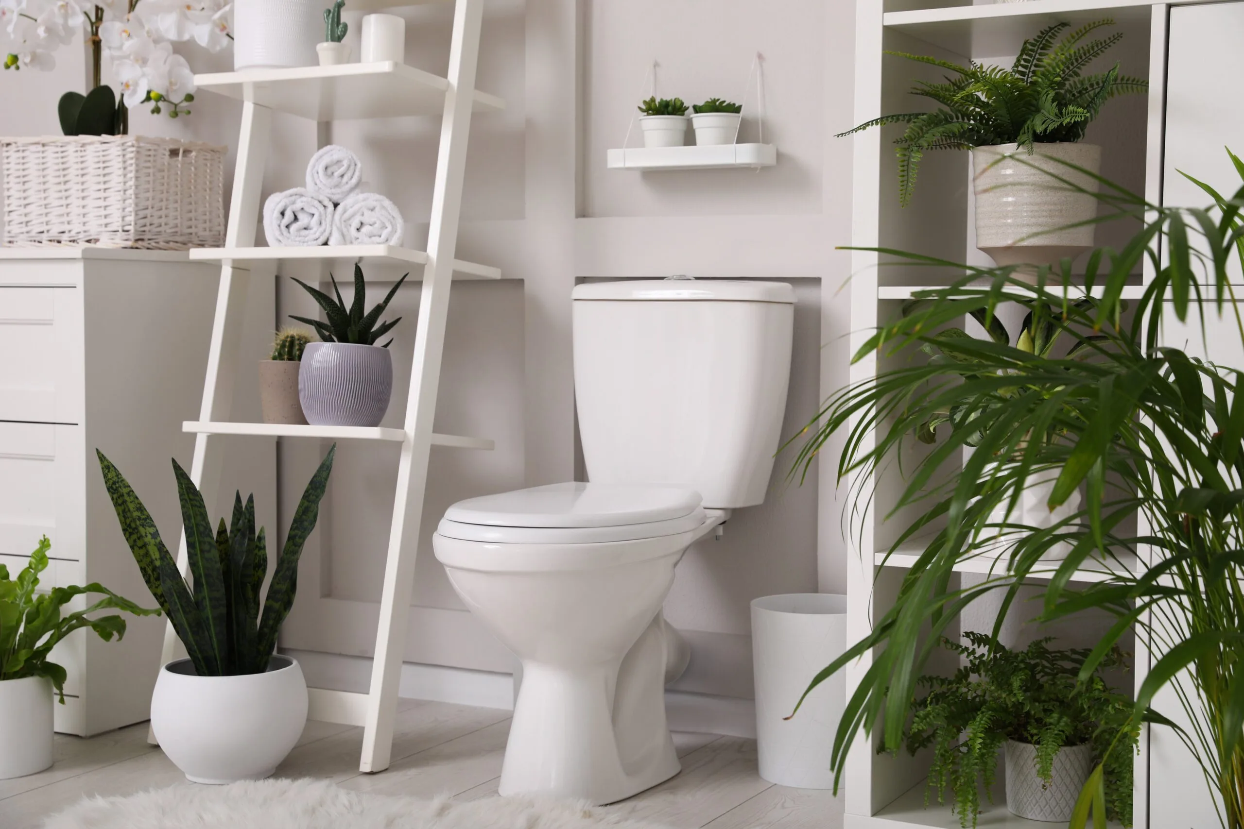 toilet repair Harrisburg PA